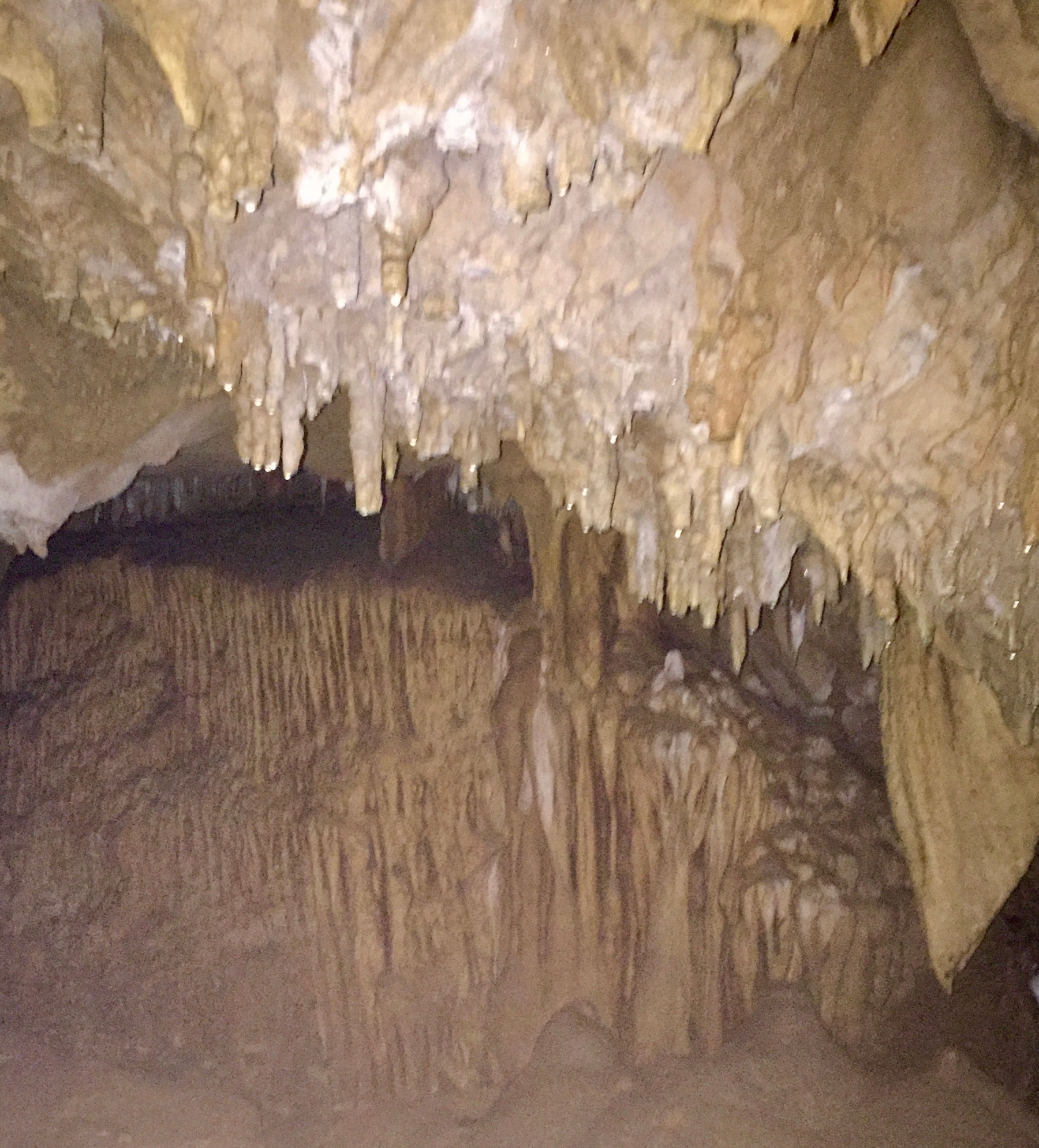 Caverns in Florida rock formations