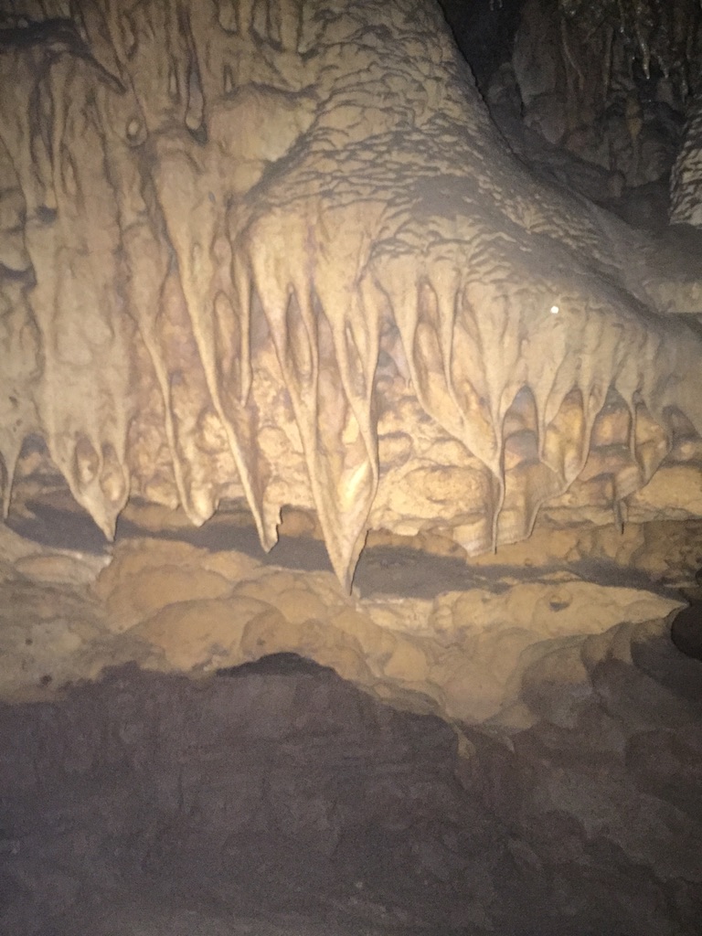 Caverns in Florida rock formations